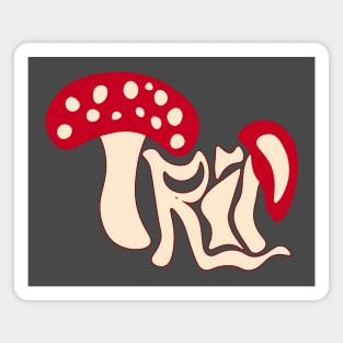 Trippy Mushroom - Psychedelic Groovy Design Magnet